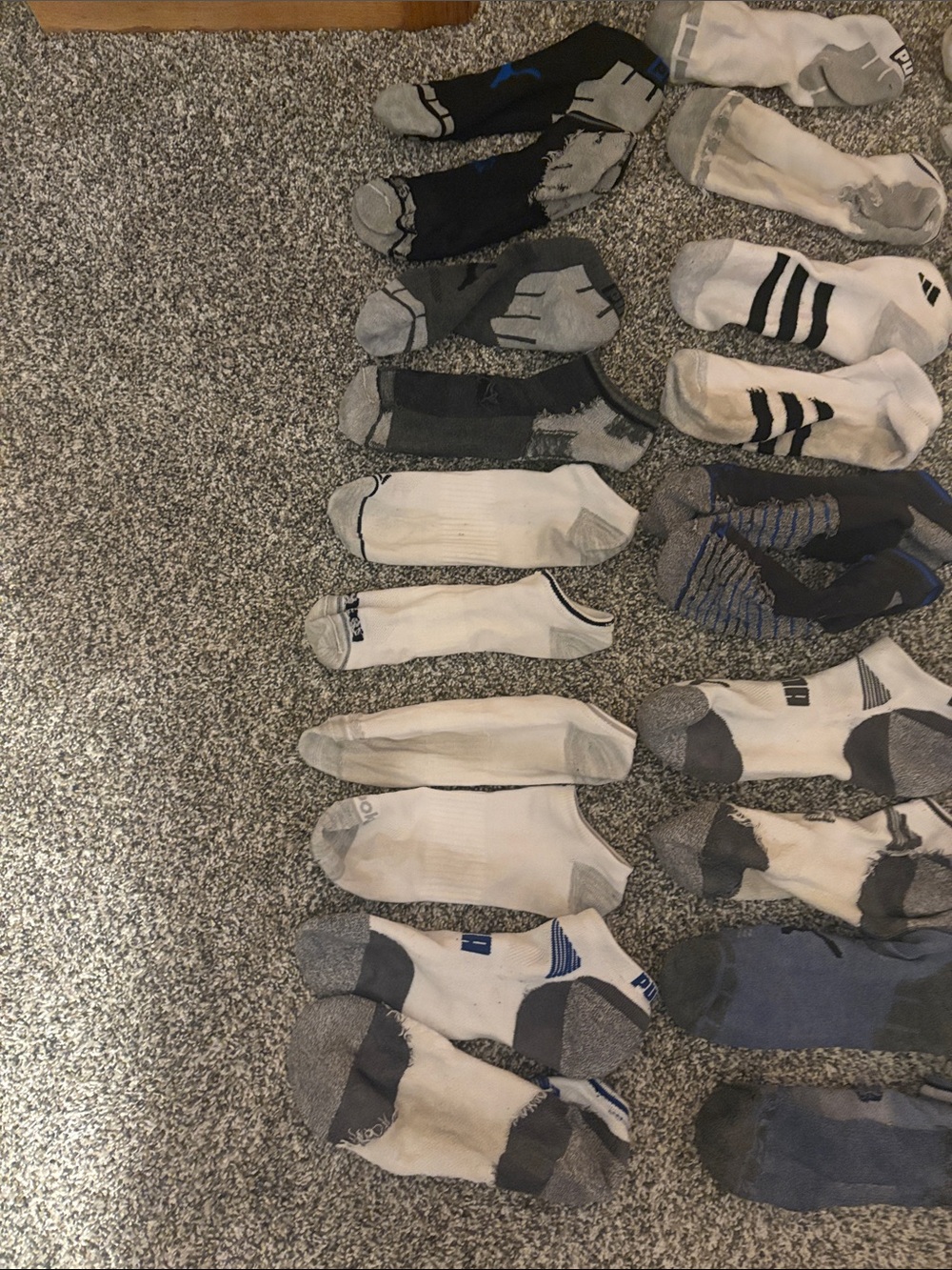 Mens assorted no show socks - Picture 2 of 3